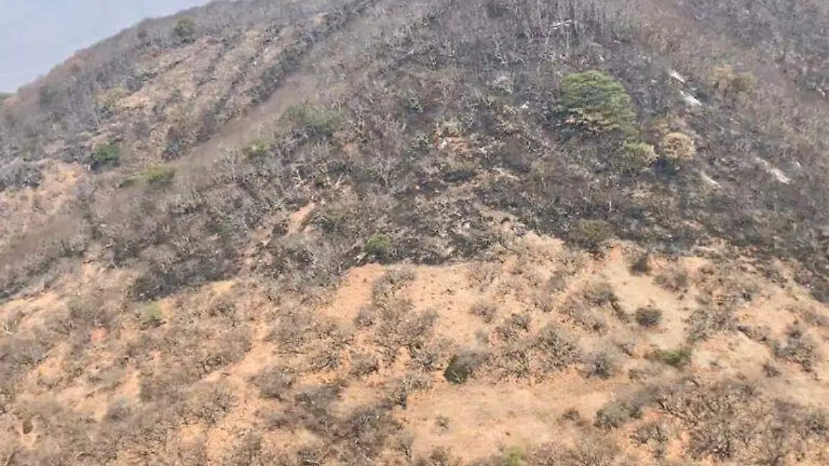 incendios guerrero